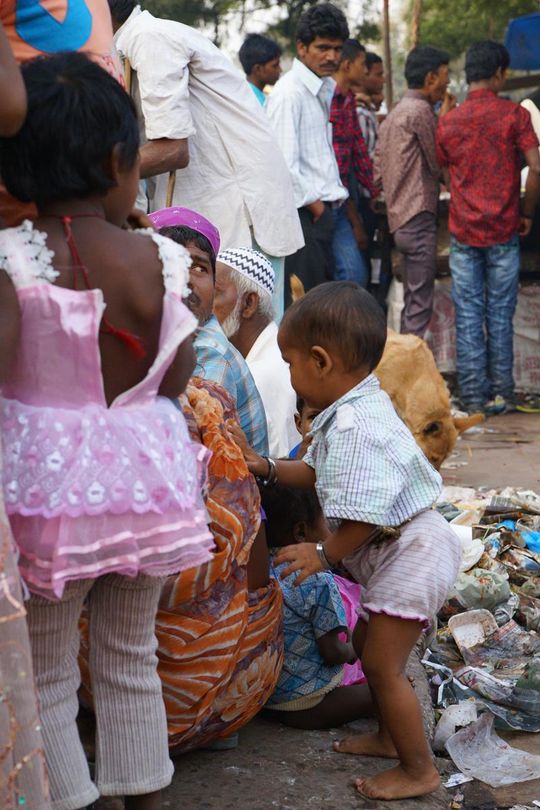 Indie okiem Jana Żebrowskiego z Zadębiec. Zobacz wspaniałe zdjęcia