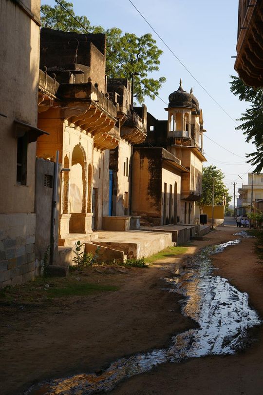 Indie okiem Jana Żebrowskiego z Zadębiec. Zobacz wspaniałe zdjęcia