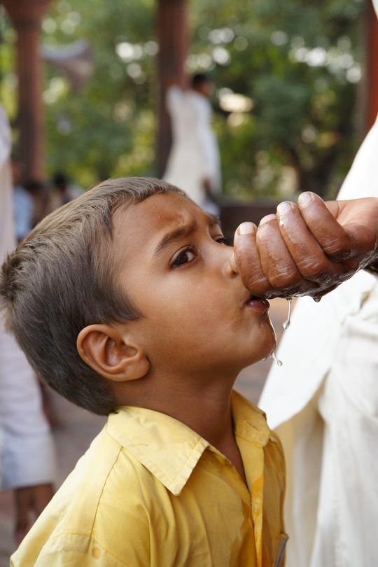 Indie okiem Jana Żebrowskiego z Zadębiec. Zobacz wspaniałe zdjęcia