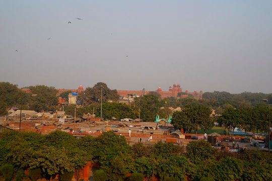 Indie okiem Jana Żebrowskiego z Zadębiec. Zobacz wspaniałe zdjęcia