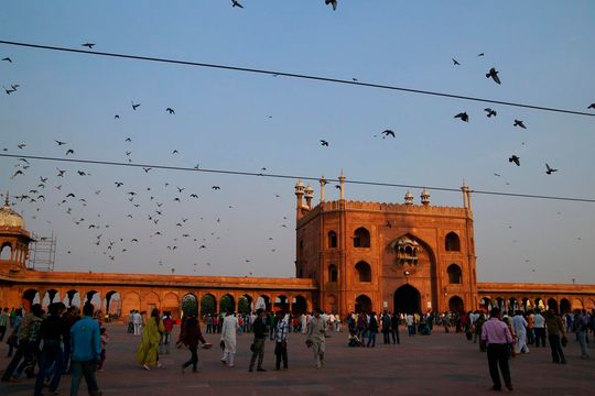 Indie okiem Jana Żebrowskiego z Zadębiec. Zobacz wspaniałe zdjęcia