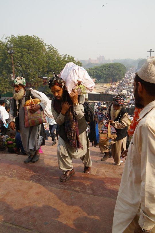 Indie okiem Jana Żebrowskiego z Zadębiec. Zobacz wspaniałe zdjęcia