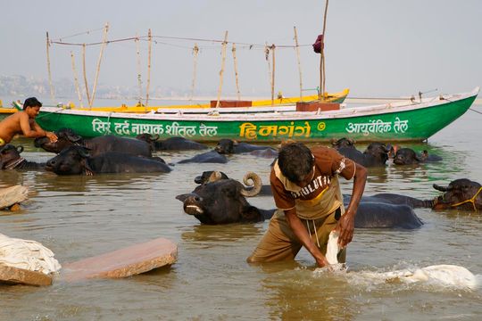 Indie okiem Jana Żebrowskiego z Zadębiec. Zobacz wspaniałe zdjęcia