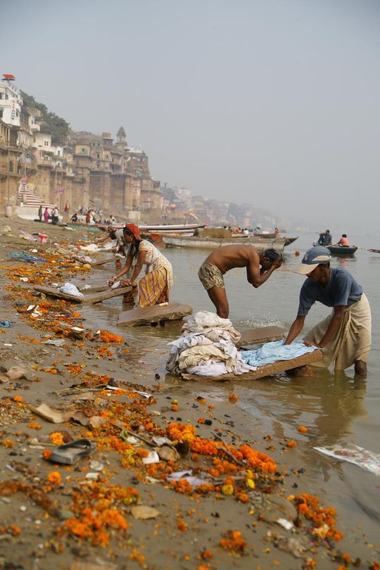 Indie okiem Jana Żebrowskiego z Zadębiec. Zobacz wspaniałe zdjęcia