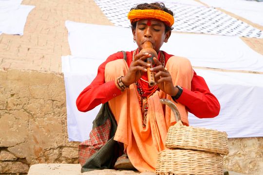 Indie okiem Jana Żebrowskiego z Zadębiec. Zobacz wspaniałe zdjęcia