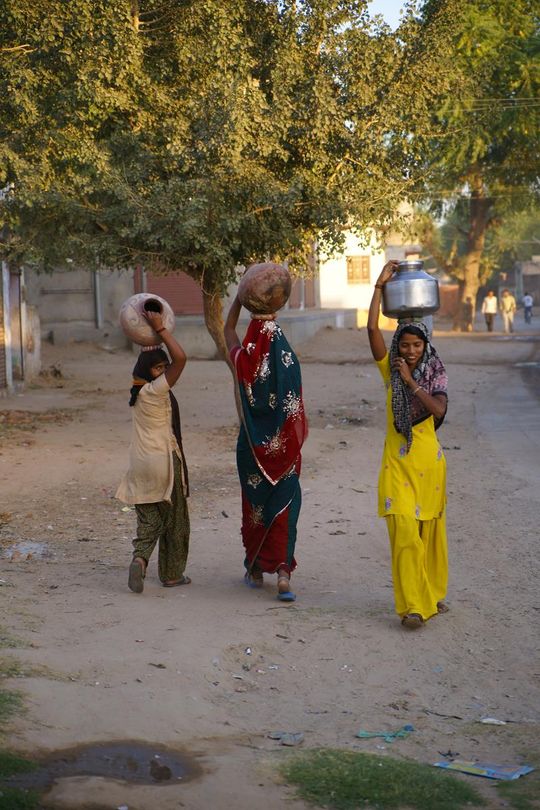 Indie okiem Jana Żebrowskiego z Zadębiec. Zobacz wspaniałe zdjęcia