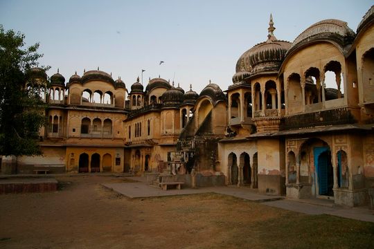 Indie okiem Jana Żebrowskiego z Zadębiec. Zobacz wspaniałe zdjęcia