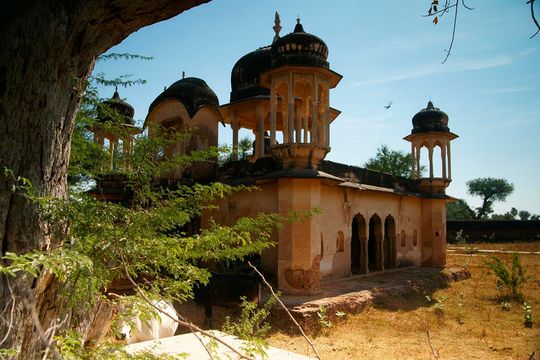 Indie okiem Jana Żebrowskiego z Zadębiec. Zobacz wspaniałe zdjęcia