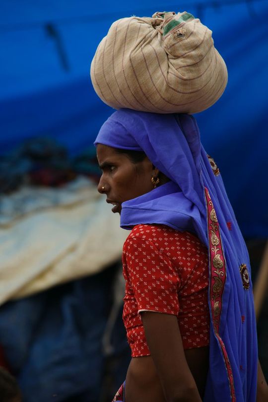 Indie okiem Jana Żebrowskiego z Zadębiec. Zobacz wspaniałe zdjęcia