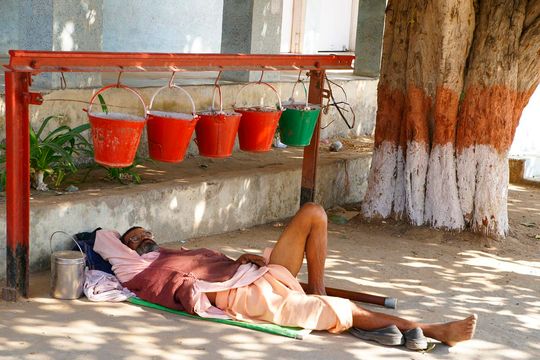 Indie okiem Jana Żebrowskiego z Zadębiec. Zobacz wspaniałe zdjęcia