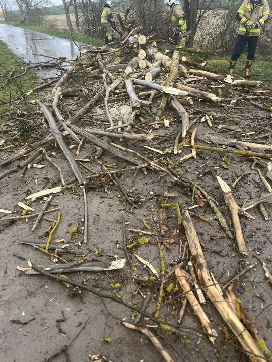 Silny wiatr nad powiatem tomaszowskim. Liczne interwencje strażaków [ZDJĘCIA]