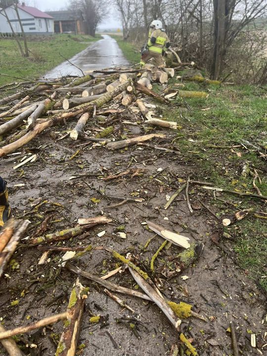 Silny wiatr nad powiatem tomaszowskim. Liczne interwencje strażaków [ZDJĘCIA]