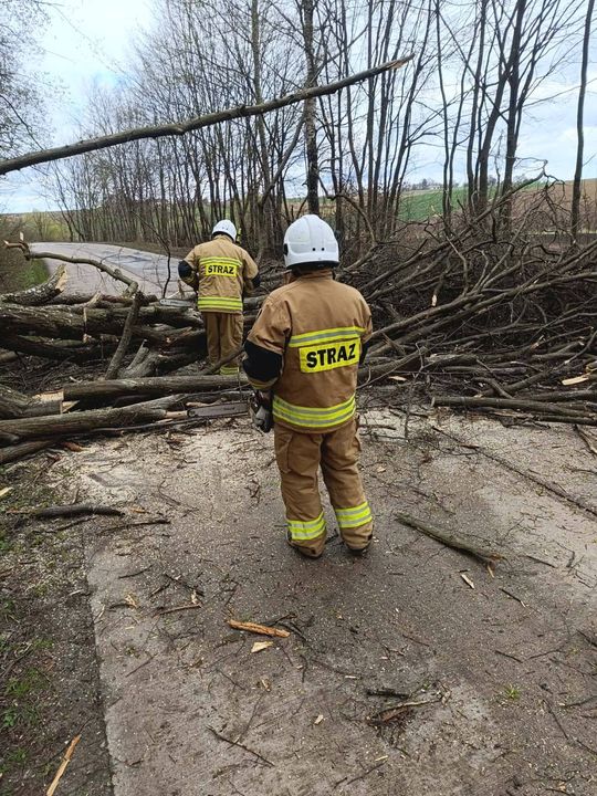 Silny wiatr nad powiatem tomaszowskim. Liczne interwencje strażaków [ZDJĘCIA]