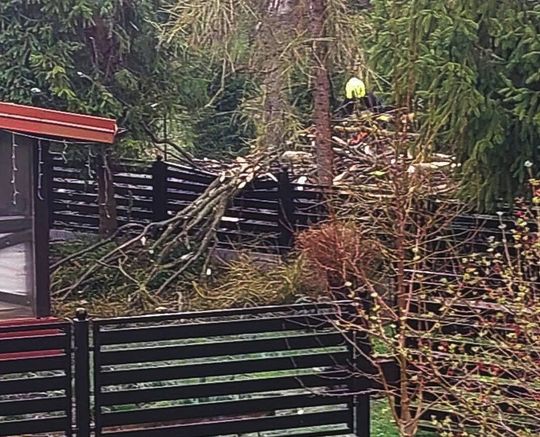 Silny wiatr nad powiatem tomaszowskim. Liczne interwencje strażaków [ZDJĘCIA]