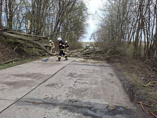 Silny wiatr nad powiatem tomaszowskim. Liczne interwencje strażaków [ZDJĘCIA]