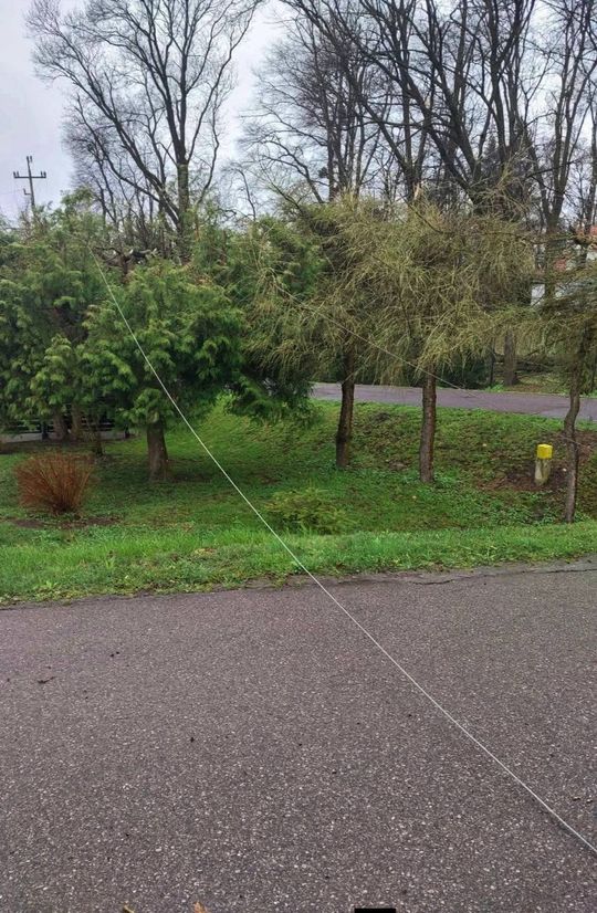 Silny wiatr nad powiatem tomaszowskim. Liczne interwencje strażaków [ZDJĘCIA]