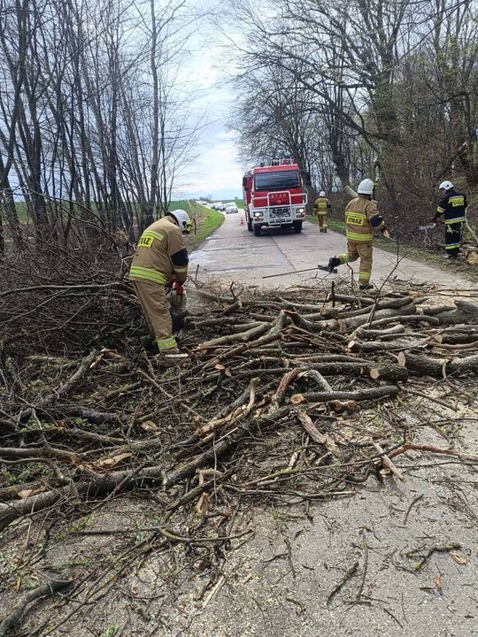 Silny wiatr nad powiatem tomaszowskim. Liczne interwencje strażaków [ZDJĘCIA]
