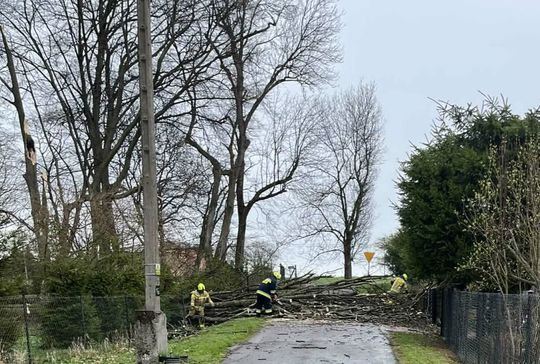 Silny wiatr nad powiatem tomaszowskim. Liczne interwencje strażaków [ZDJĘCIA]