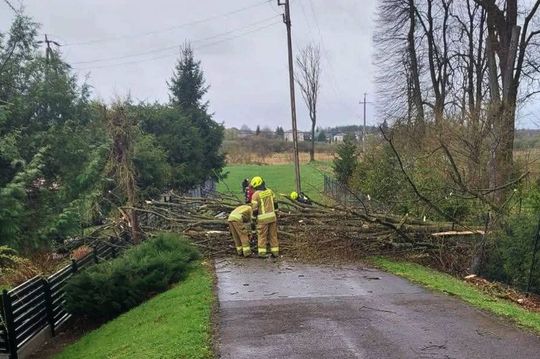 Silny wiatr nad powiatem tomaszowskim. Liczne interwencje strażaków [ZDJĘCIA]