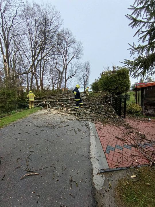 Silny wiatr nad powiatem tomaszowskim. Liczne interwencje strażaków [ZDJĘCIA]