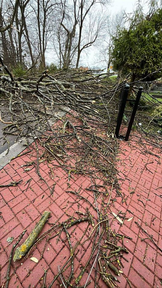 Silny wiatr nad powiatem tomaszowskim. Liczne interwencje strażaków [ZDJĘCIA]
