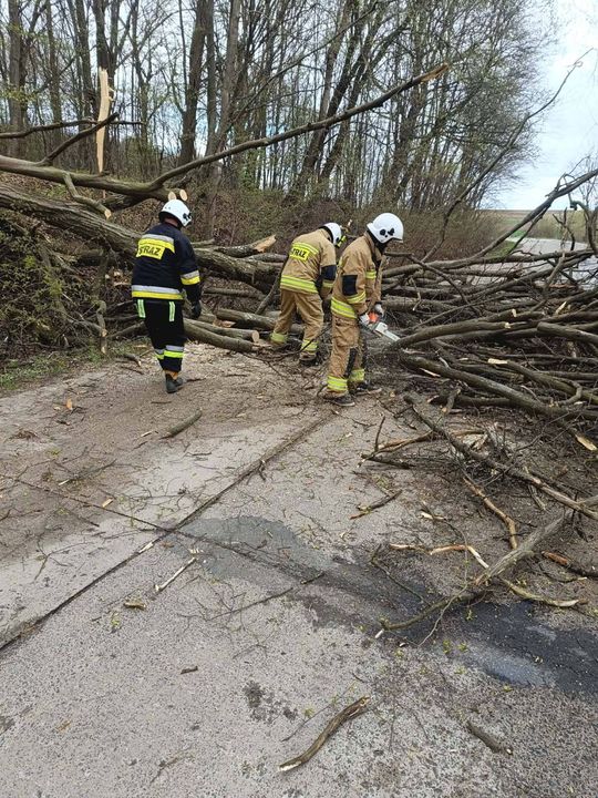 Silny wiatr nad powiatem tomaszowskim. Liczne interwencje strażaków [ZDJĘCIA]