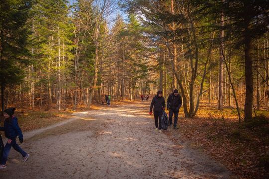 Sprzątali w Bełżcu, Żernikach, Przeorsku i na Siwej Dolinie [ZDJĘCIA]