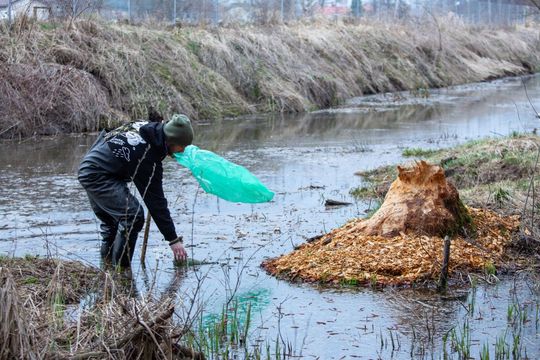 Sprzątali w Bełżcu, Żernikach, Przeorsku i na Siwej Dolinie [ZDJĘCIA]