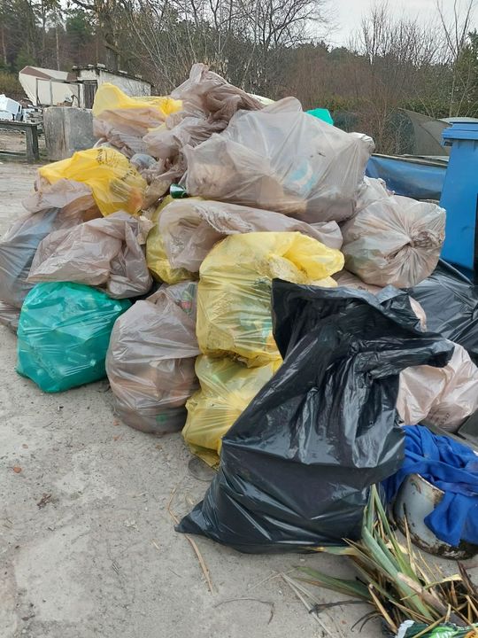 Sprzątali w Bełżcu, Żernikach, Przeorsku i na Siwej Dolinie [ZDJĘCIA]