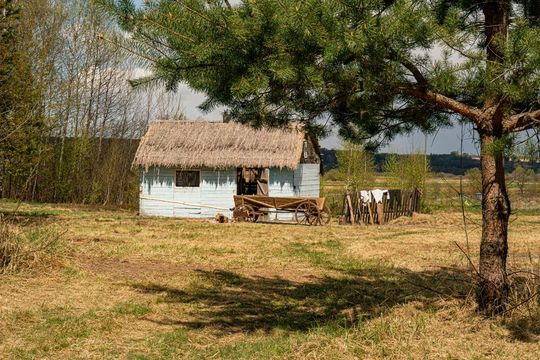 Rekonstrukcja Bitwy pod Zaborecznem [ZDJĘCIA, CZ. 2]