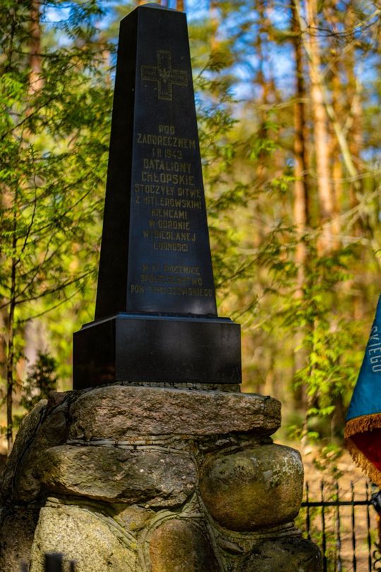 Zamojszczyzna 1943. Rekonstrukcja Bitwy pod Zaborecznem [GALERIA ZDJĘĆ]