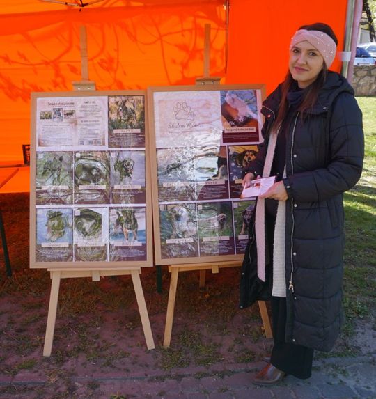 Jarmark Susiecki z koncertem Zenka Martyniuka [ZDJĘCIA]