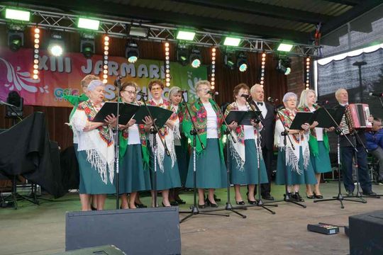 Jarmark Susiecki z koncertem Zenka Martyniuka [ZDJĘCIA]