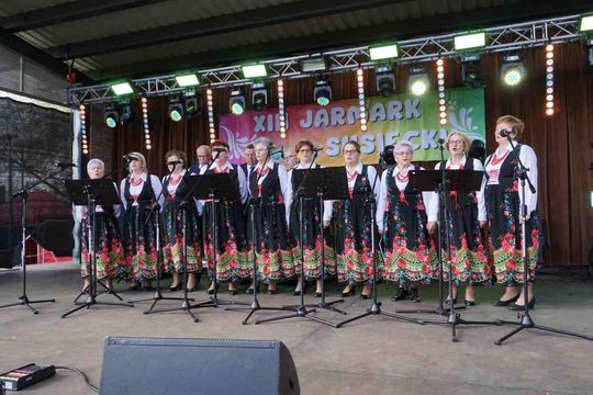 Jarmark Susiecki z koncertem Zenka Martyniuka [ZDJĘCIA]