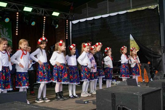 Jarmark Susiecki z koncertem Zenka Martyniuka [ZDJĘCIA]