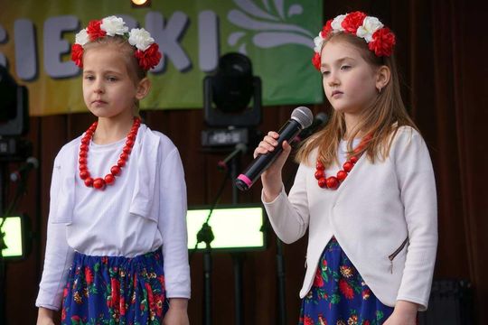 Jarmark Susiecki z koncertem Zenka Martyniuka [ZDJĘCIA]