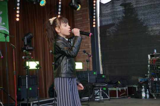 Jarmark Susiecki z koncertem Zenka Martyniuka [ZDJĘCIA]