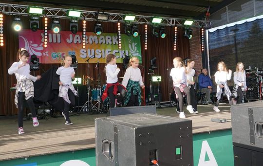 Jarmark Susiecki z koncertem Zenka Martyniuka [ZDJĘCIA]