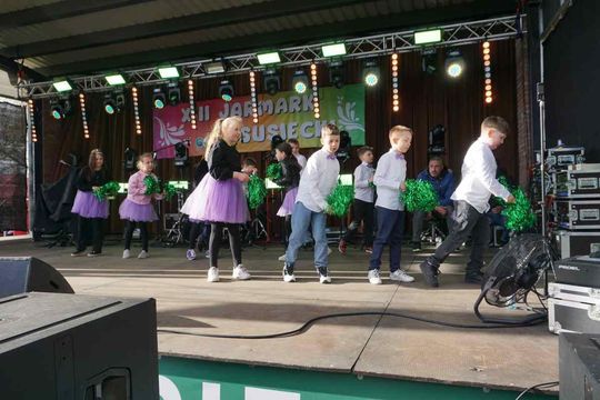 Jarmark Susiecki z koncertem Zenka Martyniuka [ZDJĘCIA]