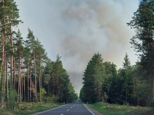 Pożar lasu w powiecie biłgorajskim - galeria zdjęc