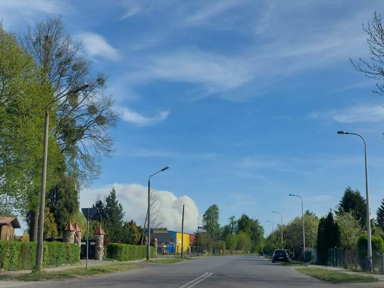 Pożar lasu w powiecie biłgorajskim - galeria zdjęc