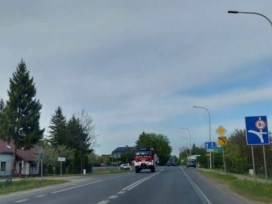 Pożar lasu w powiecie biłgorajskim - galeria zdjęc
