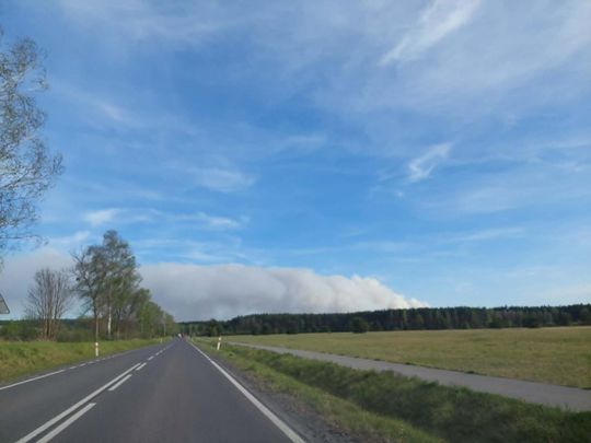 Pożar lasu w powiecie biłgorajskim - galeria zdjęc
