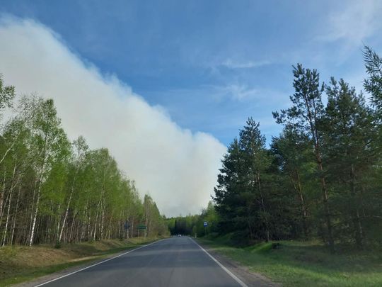 Pożar lasu w powiecie biłgorajskim - galeria zdjęc