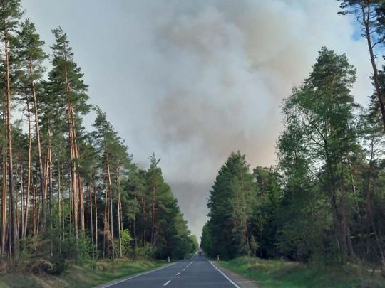 Pożar lasu w powiecie biłgorajskim - galeria zdjęc