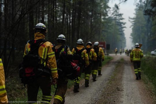 Pożar w Puszczy Solskiej - galeria zdjeć