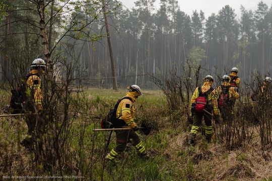 Pożar w Puszczy Solskiej - galeria zdjeć