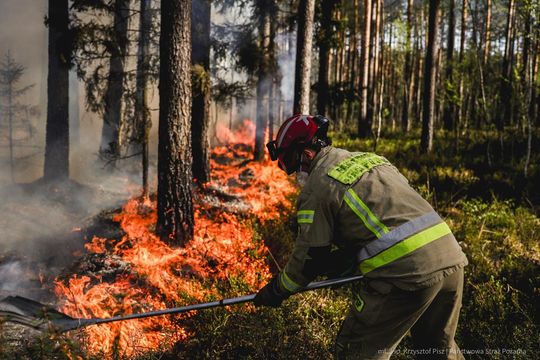 Pożar lasu w powiecie biłgorajskim - galeria zdjęć 