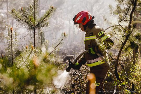 Pożar lasu w powiecie biłgorajskim - galeria zdjęć 