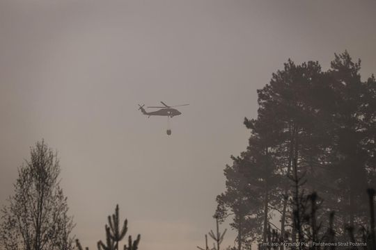 Pożar lasu w powiecie biłgorajskim - galeria zdjęć 